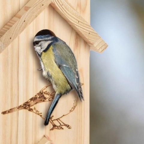 Grupa Orion Sp. z o.o. Budka lęgowa 3-piętrowa dla ptaków drewniana / domek lęgowy 60x15x13,5 cm