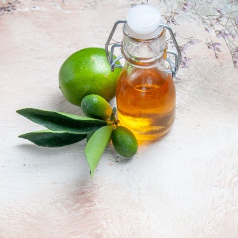 Grupa Orion Sp. z o.o. Butelka Szklana EXCELLENT HOUSEWARE 75 ml z Klipsem na Oliwę i Syropy