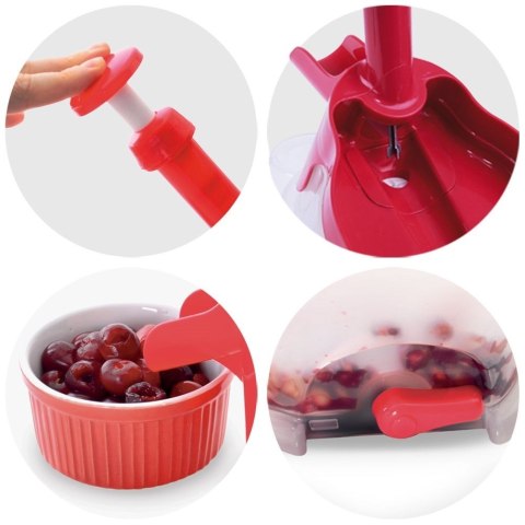 Grupa Orion Sp. z o.o. Drylownica do Wiśni i Oliwek z Przyssawką 20x12x27 cm