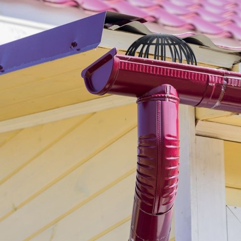 Grupa Orion Sp. z o.o. Filtr do Rynny Koszyczek PROGARDEN Czarny Plastik z Sitkiem 2 szt.