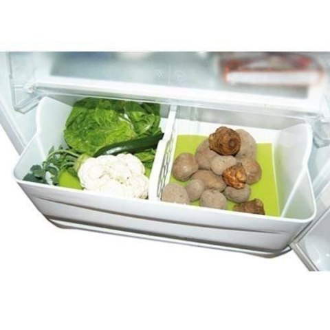 Grupa Orion Sp. z o.o. Mata antybakteryjna do lodówki 47x30 cm