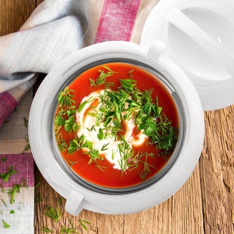 Grupa Orion Sp. z o.o. Termos Pojemnik Termomisa Termiczny Obiadowy na Żywność Jedzenie ORION 3,5l