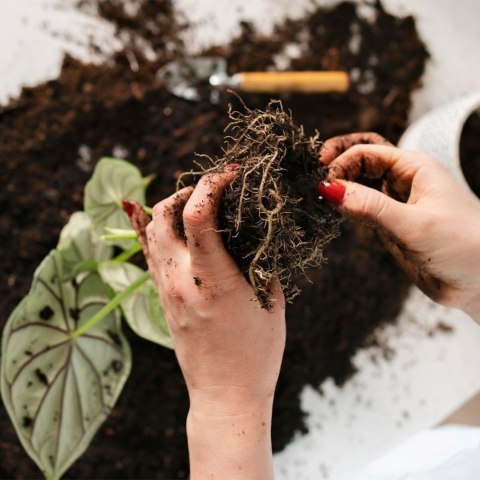 Narzędzia ogrodowe balkonowe na pas / łopatki grabki pazurki zestaw 3 szt.