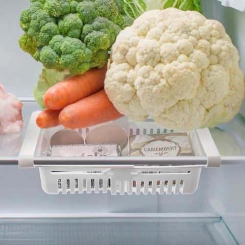 Grupa Orion Sp. z o.o. Organizer do Lodówki Podpółkowy Rozsuwany 21-28,7 cm ORION Biały Wytrzymały