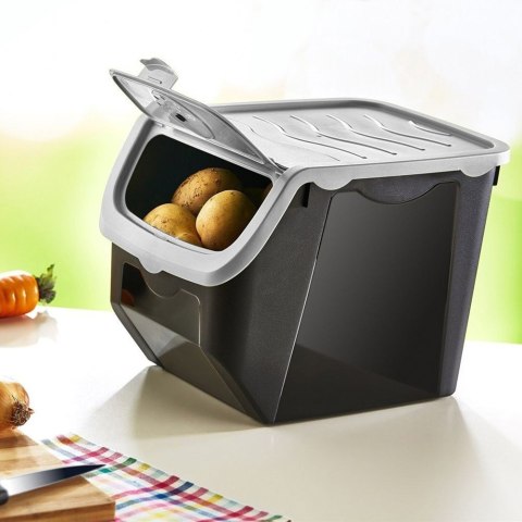 Grupa Orion Sp. z o.o. POJEMNIK NA OWOCE CZOSNEK WARZYWA CEBULĘ ZIEMNIAKI