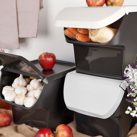 Grupa Orion Sp. z o.o. Pojemnik na Warzywa Piętrowany 13 L VILDE z Klapą Zmywarka 34 x 27,5 cm