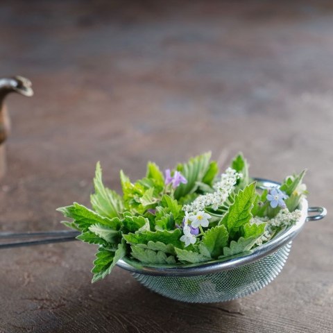 Grupa Orion Sp. z o.o. Sitko Kuchenne Małe Stal Nierdzewna 8 cm do Posypywania Mąki ORION