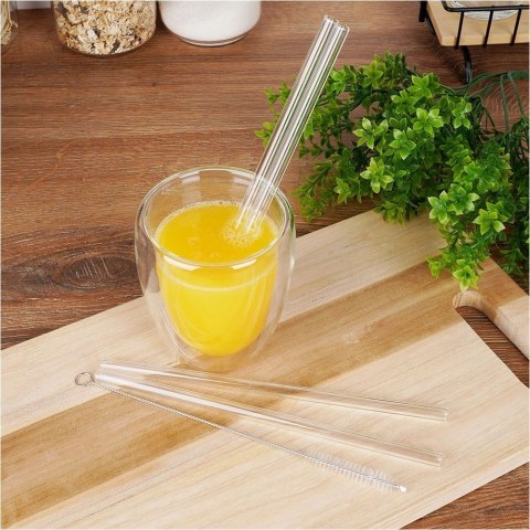 Grupa Orion Sp. z o.o. Słomki Szklane z Czyścikiem Zestaw 5 el. 20 cm Borokrzemowe Grube EH