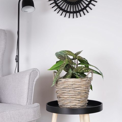 Grupa Orion Sp. z o.o. Osłonka do Roślin na Doniczkę Wiklinowa VILDE 22x22 cm