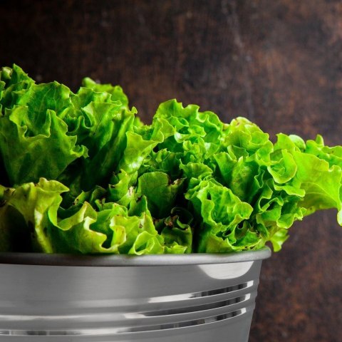 Grupa Orion Sp. z o.o. Wiadro Stalowe Nierdzewne 12 L ORION Ogrodowe Wielofunkcyjne 31 x 27 cm