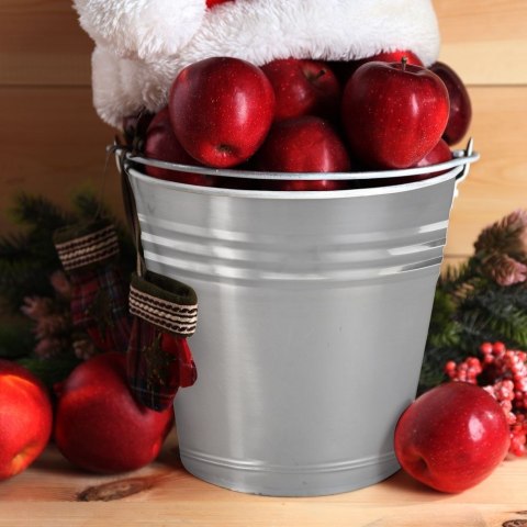 Grupa Orion Sp. z o.o. Wiadro Stalowe Nierdzewne 5 L ORION Praktyczny Uchwyt Odporne Korozję