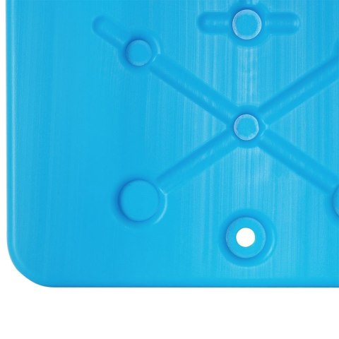 Grupa Orion Sp. z o.o. Wkład Chłodzący do Lodówki 900 g ORION Płaski Wielorazowy 32 x 25,5 cm