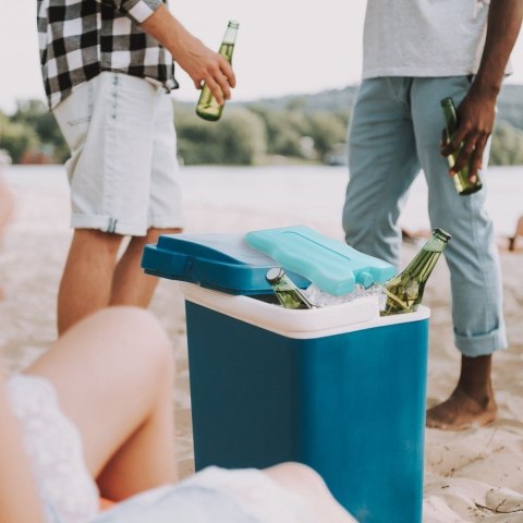 Grupa Orion Sp. z o.o. Wkłady Chłodzące do Lodówki 2 x 200 g ORION Niebieskie 2 szt.