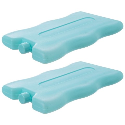 Grupa Orion Sp. z o.o. Wkłady Chłodzące do Lodówki 2 x 200 g ORION Niebieskie 2 szt.