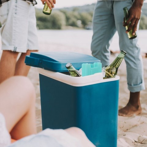 Grupa Orion Sp. z o.o. Wkłady Chłodzące do Lodówki 2 x 410 g ORION Niebieskie 2 szt.