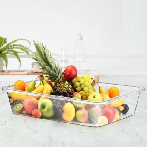 Grupa Orion Sp. z o.o. Pojemnik Organizer do Lodówki Duży 10 L 46 x 33 x 9,5 cm HL Przezroczysty