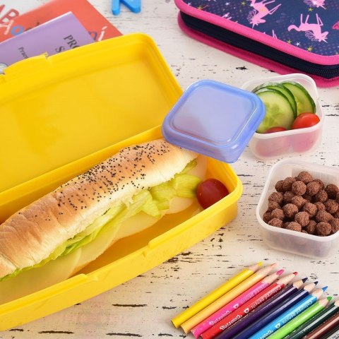 Grupa Orion Sp. z o.o. Pojemnik Lunchbox Śniadaniowy 500 ml ORION Zamykany 21 x 9 cm