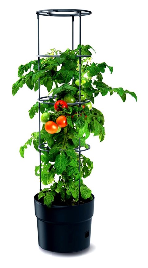 DONICZKA DO SADZENIA POMIDORÓW Z DRABINKĄ POJEMNOŚĆ 18L