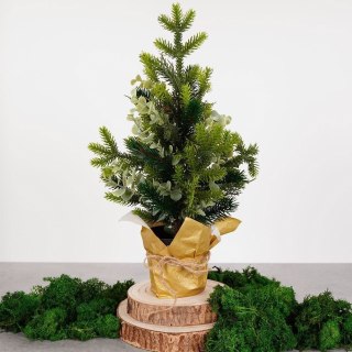 Grupa Orion Sp. z o.o. Choinka Sztuczna HOME STYLING 45 cm z Eukaliptusem w Doniczce
