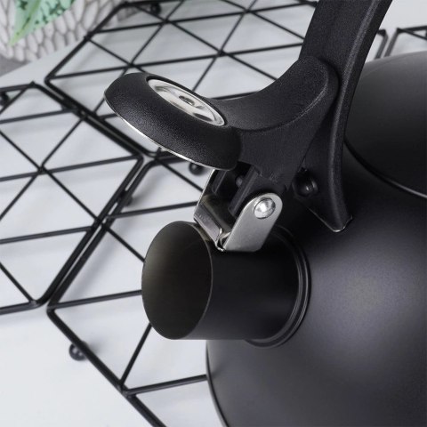 Grupa Orion Sp. z o.o. Czajnik na Gaz Indukcja z Gwizdkiem Stalowy Czarny Solidny Trwały VILDE 3 l