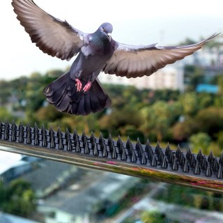 Grupa Orion Sp. z o.o. Kolce na Ptaki PROGARDEN 10 szt. 5 m Listwy Plastikowe Czarne