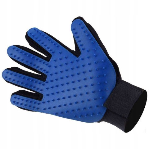 RĘKAWICA DO CZESANIA PSA KOTA NIEBIESKIE KOLCE