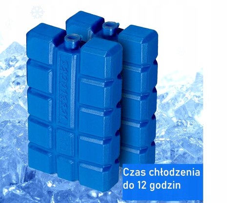 WKŁAD DO LODÓWKI 2X200GR