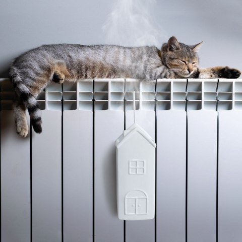 Grupa Orion Sp. z o.o. Nawilżacz powietrza na kaloryfer ceramiczny domek 300 ml