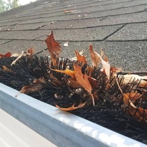 KINZO Siatka Szczotka Zabezpieczająca Ochronna do Ochrony Rynny Solidna ORION 4 m