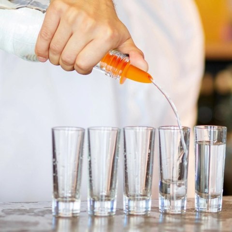 Grupa Orion Sp. z o.o. Nalewaki do Butelek ORION 6 szt. Elastyczne Zielone i Pomarańczowe