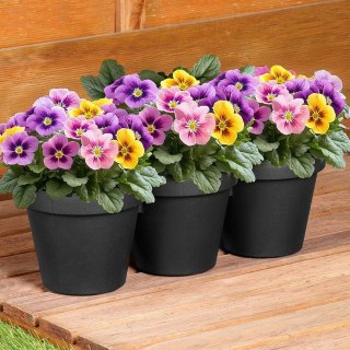 Grupa Orion Sp. z o.o. Doniczka Ogrodowa Potrójna VILDE 39,5 cm Czarna na Zioła i Kwiaty