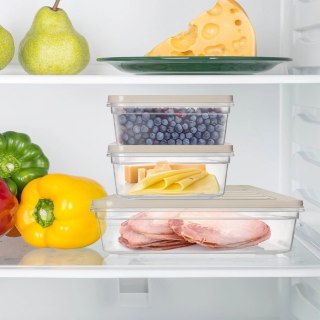 Grupa Orion Sp. z o.o. Pojemnik na Wędliny Sery 2 L ORION Falowane Dno Zmywarka 28,5 x 22,5 cm