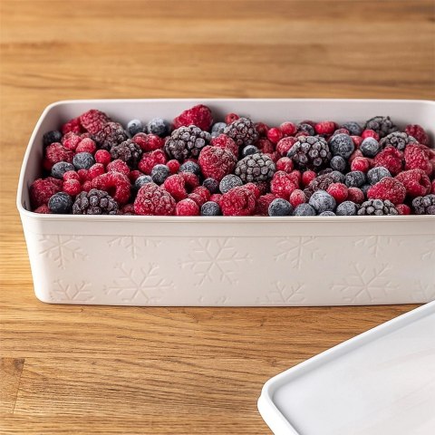 Grupa Orion Sp. z o.o. Pojemnik na Żywność Lunchbo x 2 L ORION Szczelny Mrożenie 27 x 15,5 cm