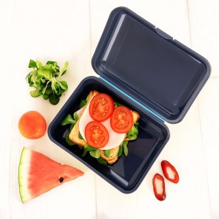 Grupa Orion Sp. z o.o. Pojemnik Lunchbox Śniadaniowy ORION 750 ml Zamykany 18 x 13 cm