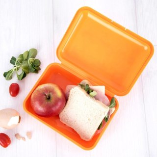 Grupa Orion Sp. z o.o. Pojemnik Lunchbox Śniadaniowy 750 ml ORION Zmywarka Mikrofala 18 x 13 cm