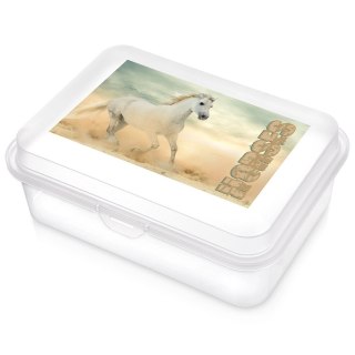 Grupa Orion Sp. z o.o. Pojemnik Lunchbox Śniadaniowy 750 ml ORION Zmywarka Mikrofala 18 x 13 cm