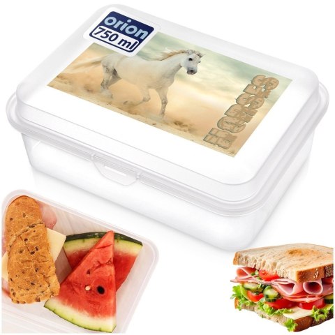 Grupa Orion Sp. z o.o. Pojemnik Lunchbox Śniadaniowy 750 ml ORION Zmywarka Mikrofala 18 x 13 cm