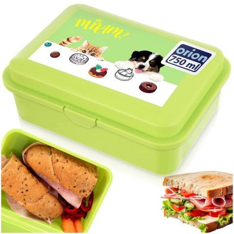 Grupa Orion Sp. z o.o. Pojemnik Lunchbox Śniadaniowy 750 ml ORION Zmywarka Mikrofala 18 x 13 cm