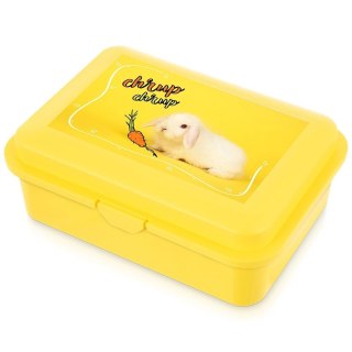 Grupa Orion Sp. z o.o. Pojemnik Lunchbox Śniadaniowy 750 ml ORION Zmywarka Mikrofala 18 x 13 cm