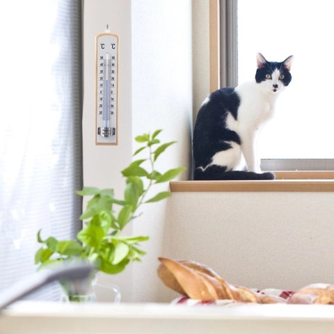 Grupa Orion Sp. z o.o. Termometr Uniwersalny Drewniany Biały ORION 21 cm do Wewnątrz i Zewnątrz