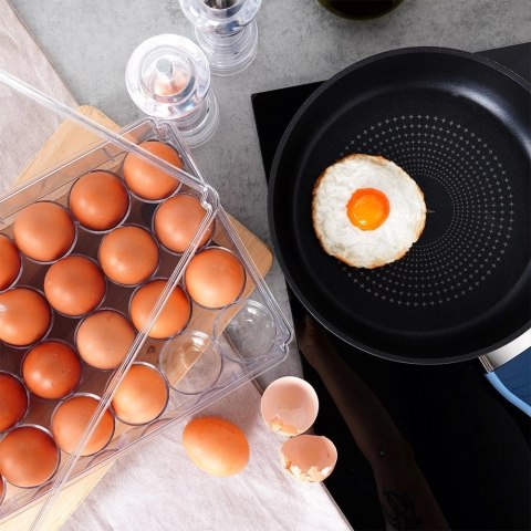 Grupa Orion Sp. z o.o. Pojemnik na Jajka Lodówka Duży 24 Sztuki VILDE Piętrowany 32 x 21 cm