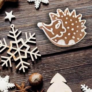 Grupa Orion Sp. z o.o. Wykrawacz do Ciastek Jeż 5 cm Stal Nierdzewna do Zmywarki ORION