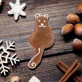 Grupa Orion Sp. z o.o. Wykrawacz do Ciastek Kot 8,5 cm Stal Nierdzewna do Zmywarki ORION