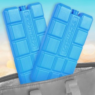 Grupa Orion Sp. z o.o. Wkłady chłodzące do lodówki turystycznej 400 g 2 szt.