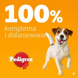 PEDIGREE Dogcare Karma dla psa w saszetkach - Kawałki w sosie, dla dorosłych psów (Adult)