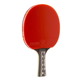 Rakietka tenis stołowy ping-pong Giant Dragon 9* N8091 2 piłeczki pokr