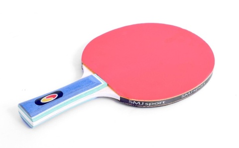 ZESTAW Ping Pong PALETKI Piłeczki Pokrowiec 5w1