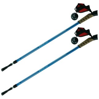 KIJE NORDIC WALKING 2-SEKFENCJE Kolor: Niebieski