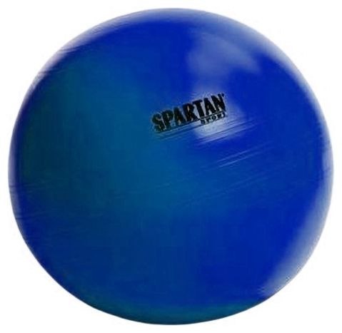 Spartan Sport Piłka gimnastyczna SPARTAN 55 cm NIEBIESKA